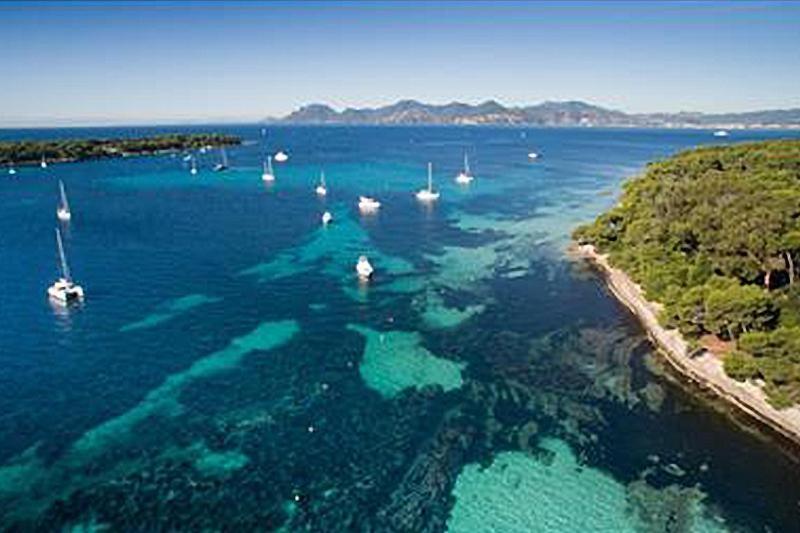 Beautiful And Cozy Apartment In The Heart Of Cannes Luaran gambar